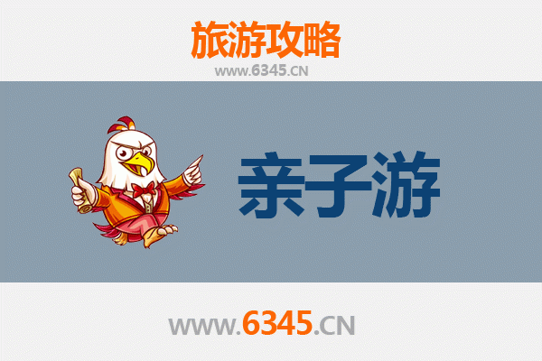 万宁亲子游全攻略：阳光沙滩与热带雨林的欢乐之旅